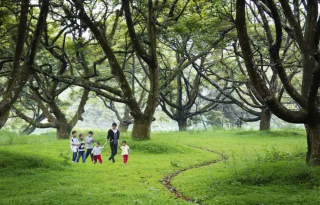 博罗县长宁镇松树岗小学