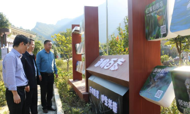 隆阳区杨柳乡中心学校