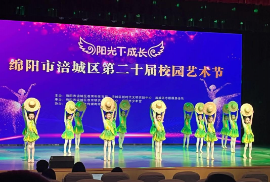 绵阳市涪城区新艺美艺术培训学校有限公司