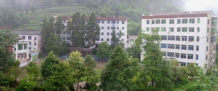 渠县大义乡中心学校