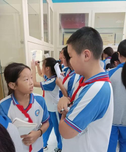 红海湾区东洲街道中心小学