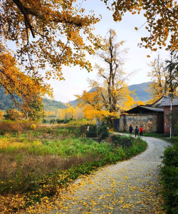 广西桂林市灵川县海洋乡初级中学