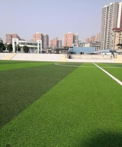 长安区炮里乡初级中学