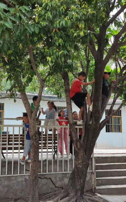 西昌市绿荫学校