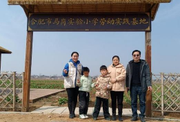 合肥市林店小学