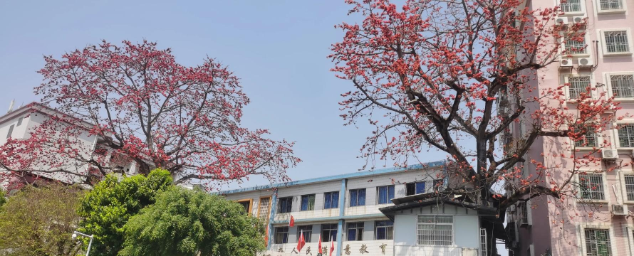 和平县阳明镇第一小学