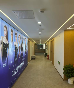 重庆两江新区聂娜俊艺艺术培训有限公司