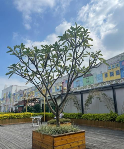 临湘市小天地幼儿园