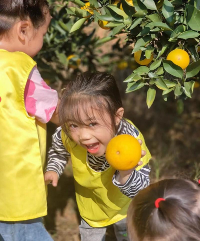 金石镇育星幼儿园