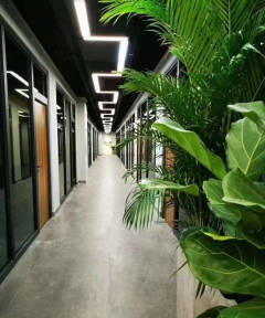 奎屯三分地艺术培训有限公司