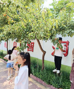 张店区杏园东路小学