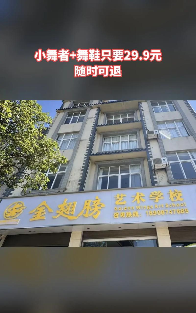 罗平金翅膀艺术培训学校有限公司