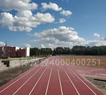 镇赉县坦途镇中学