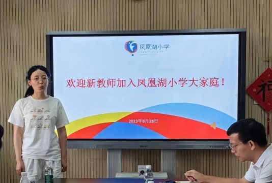 凤江镇凤湖小学