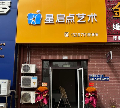 项城市星点艺术培训学校有限公司
