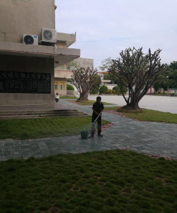 古巷镇枫三小学