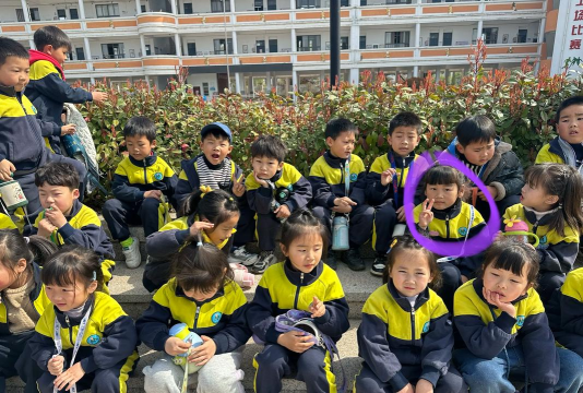 东凤镇大巷小学