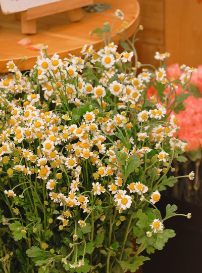 长春市第六十二中学