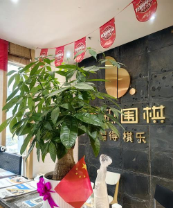 南京清源围棋培训有限公司建邺分公司