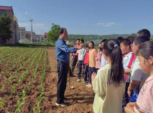 临沭县石门镇中心小学