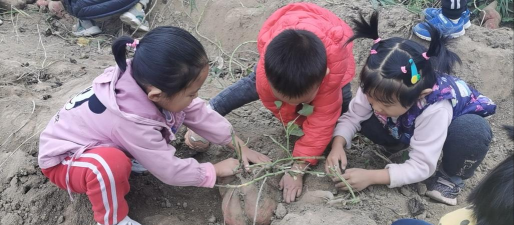 利津县北宋镇宋集幼儿园