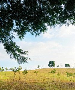 湛江市赤坎区童话林幼儿园