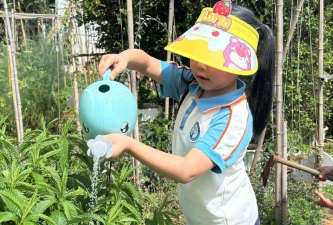 灵台县上良乡幼儿园