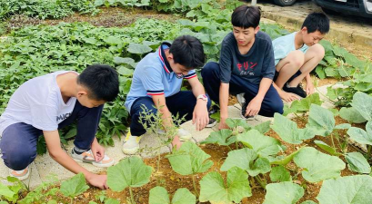 锣圩镇大杨中心小学