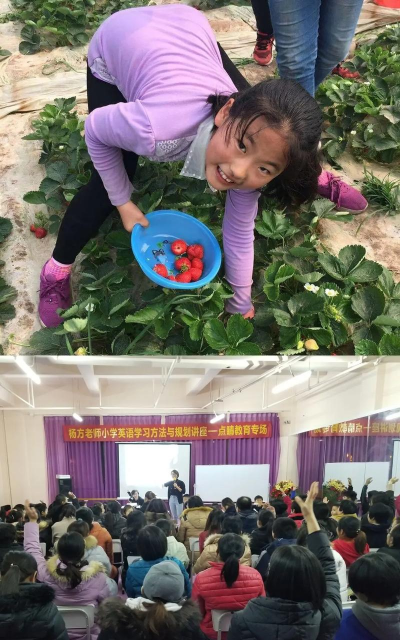 峡江县点睛美术培训有限公司