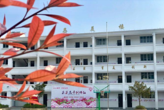 高坪区高坪镇第八小学