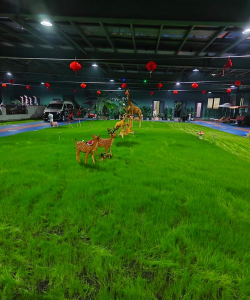 巢湖市私立斯辰初级中学