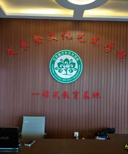 乌鲁木齐市艾来登文化艺术教育培训有限责任公司