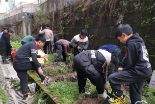 云阳县桑坪镇桑坪小学