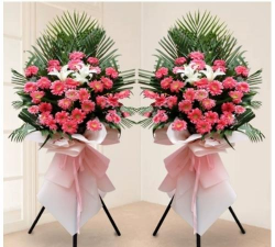 白石镇白石三中