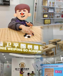 佛山市禅城区金鸿围棋培训有限公司