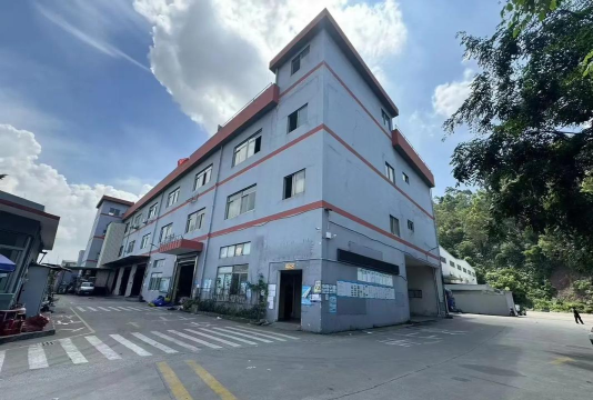 东莞市沙田上本培训中心有限公司