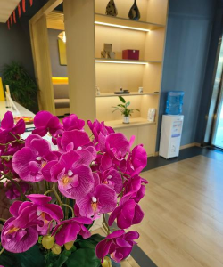 杭州麟平文化艺术发展有限公司