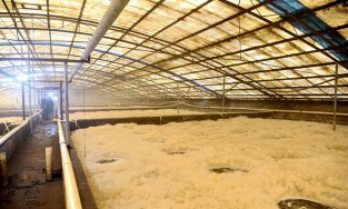 沧州渤海新区南大港英和教育培训学校有限公司