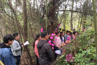 谭家河乡中心学校