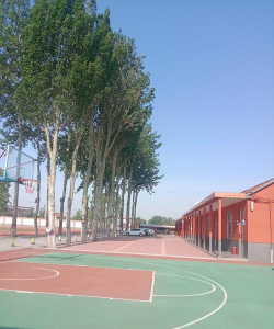 保定第一体育运动学校