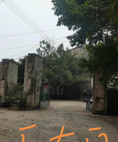 重庆长江电工厂子弟校