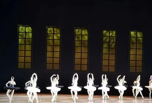 辽宁芭蕾舞团附属芭蕾舞校