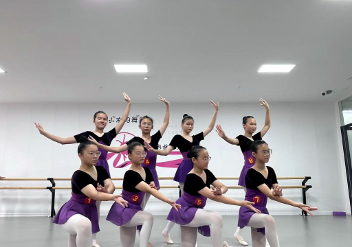 武宁县小太阳舞蹈培训中心有限公司