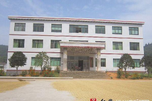 醴陵市栗山坝镇梅霞中学