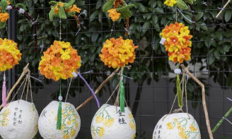 江苏省宿迁市宿城区三棵树第六小学