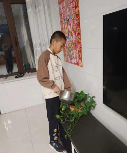 丁家房乡中心小学