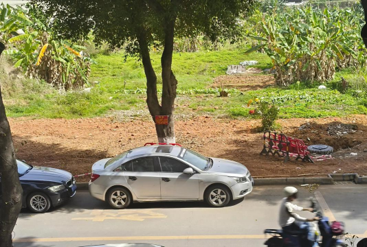 广州市番禺区新君豪中英文学校