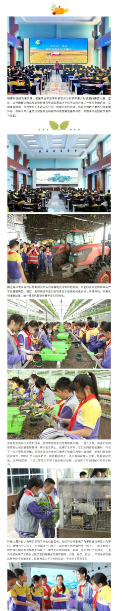 临河区实验农场小学