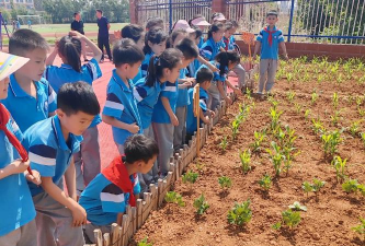 果树农场中心小学