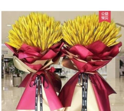 太原市尖草坪区马头水乡马头水中心校